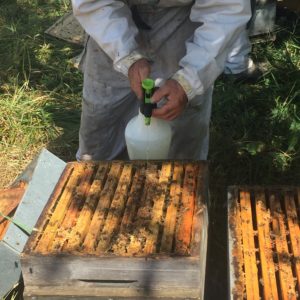 traitement à l'cide oxalique par dégouttement